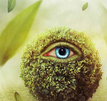 免费电话短信轰炸机