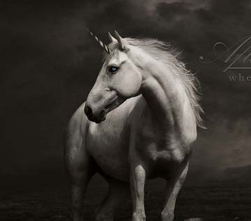 呼死你在线免费试用