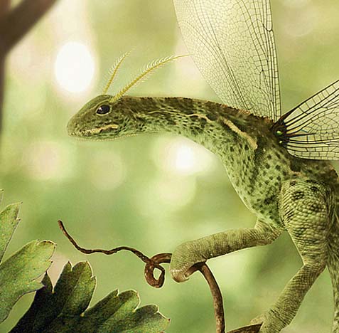 释放创新动力的在线轰炸网页版