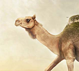 免费电话短信轰炸机