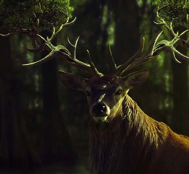 会员充值网站的呼死你电话轰炸